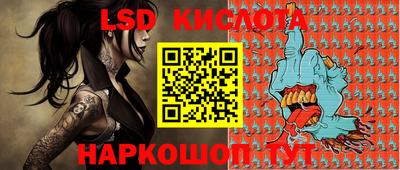 гашик Моздок