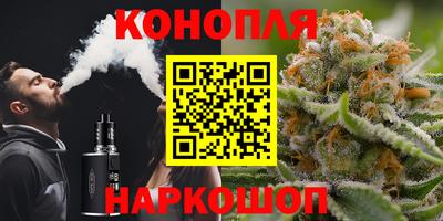 сатива Можайск