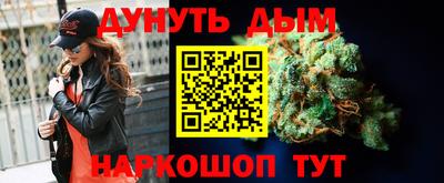 гашик Моздок