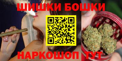 гашик Моздок