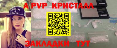гашик Моздок