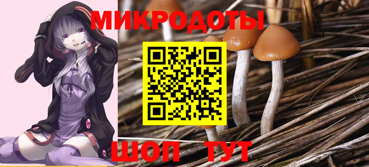 Галлюциногенные грибы мицелий Вольск